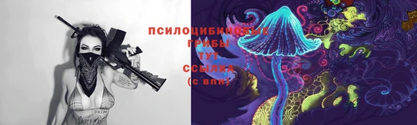 ECSTASY Лабытнанги