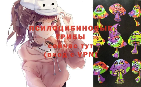 СК Ладушкин